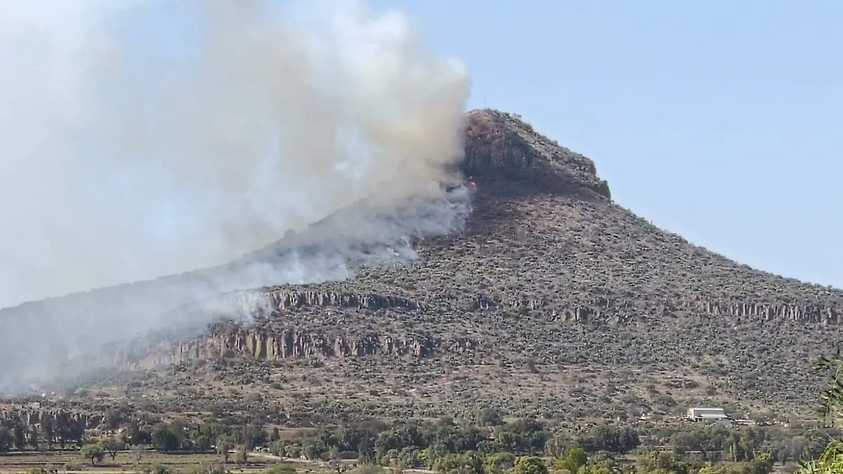 IMG-20260225-WA0051~2