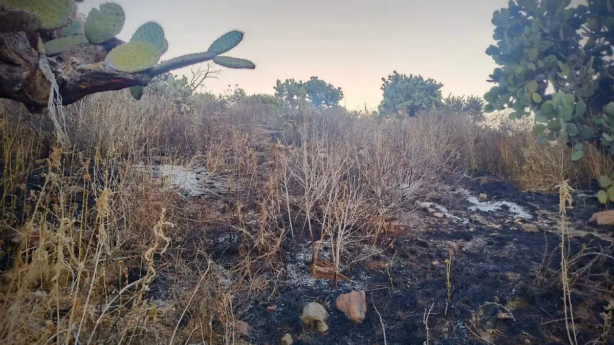 WhatsApp Image 2026-02-26 at 11.38.24 AM