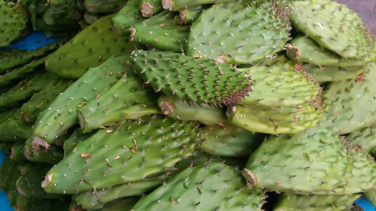 8bd85063-84fd-48aa-9d75-160dd1cc230d-1_all_44721