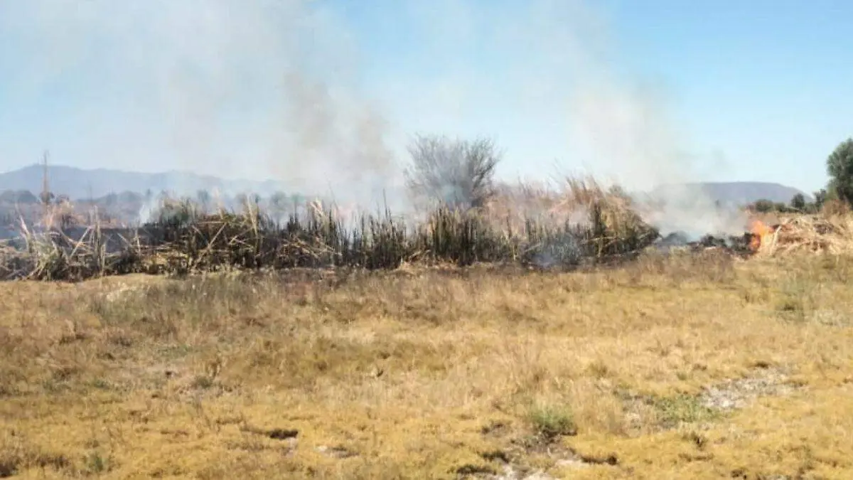 WEB INCENDIO TETEPANGO BUENAA