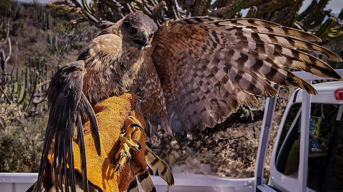 WhatsApp Image 2026-03-09 at 3.00.12 PM