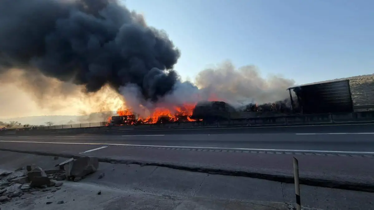 WhatsApp Image 2026-03-11 at 10.20.24 AM