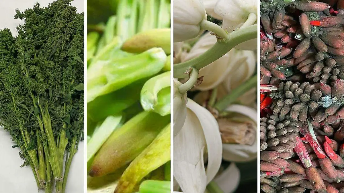 flores y plantas comestibles hidalgo cuaresma 