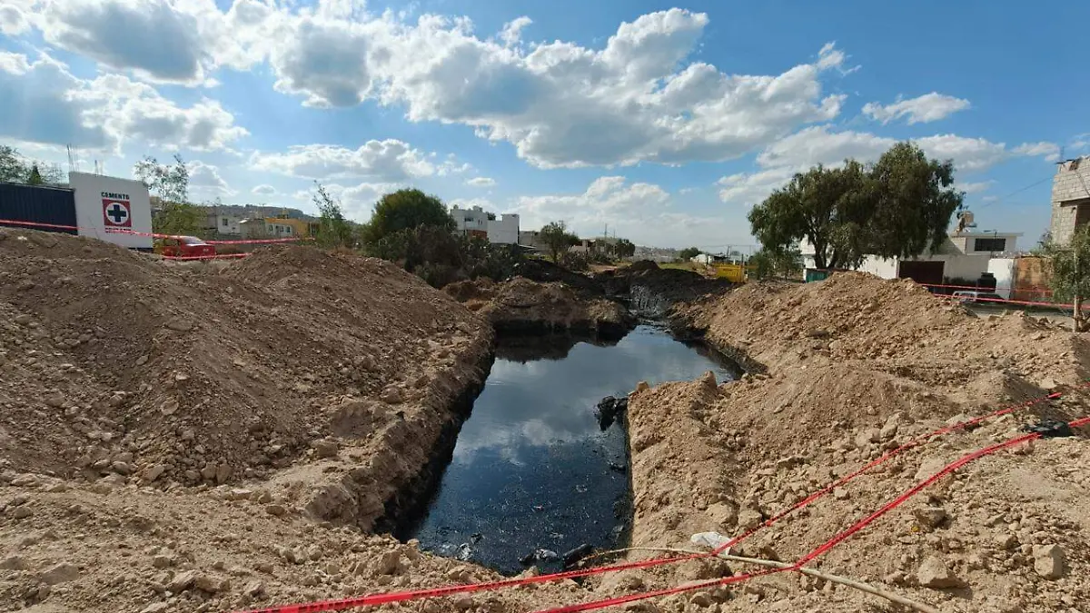 WhatsApp Image 2026-03-14 at 1.12.32 PM