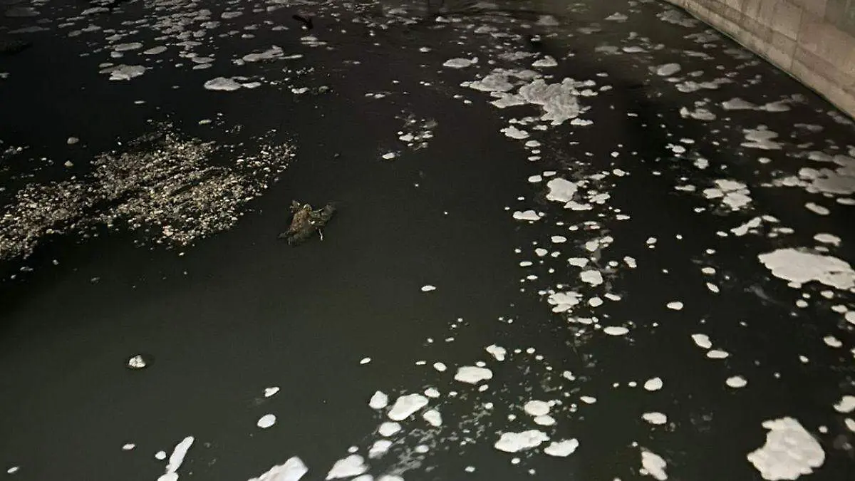 WEB DERRAME RIO BUENAA