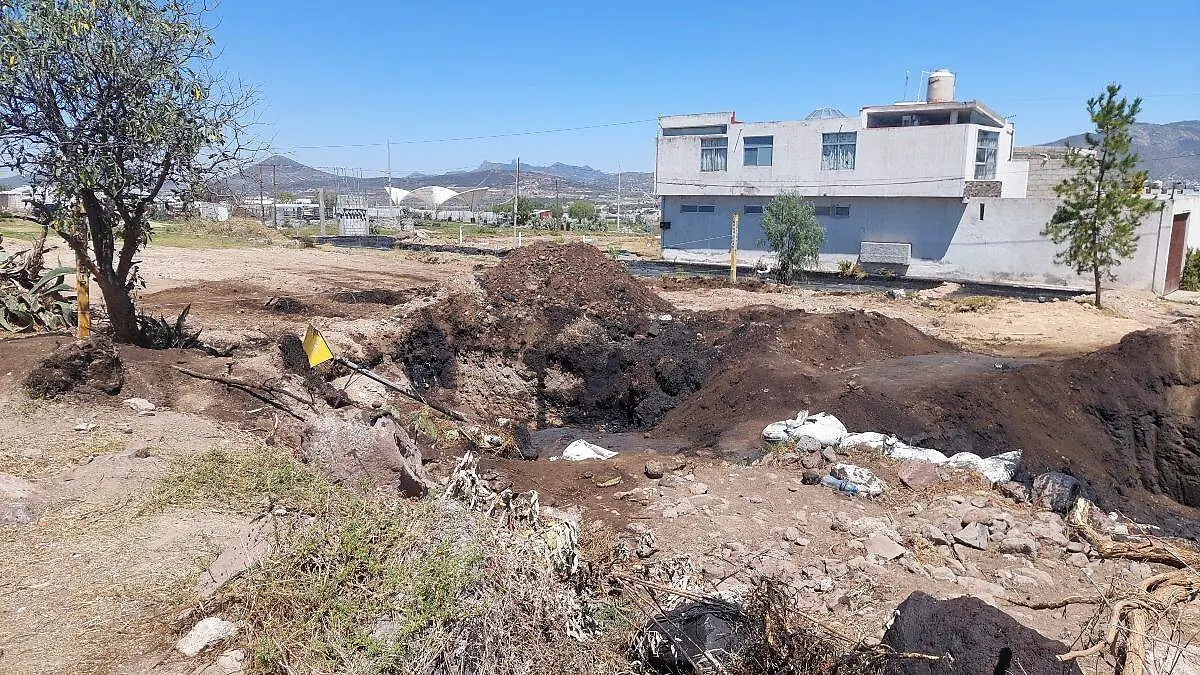 befunky_2026-2-4_14-30-20