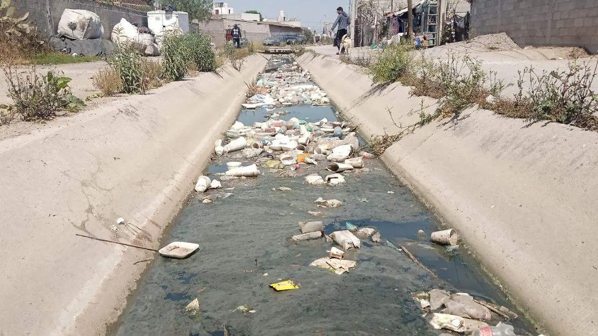 WEB CALLE BOLITA BUENAA