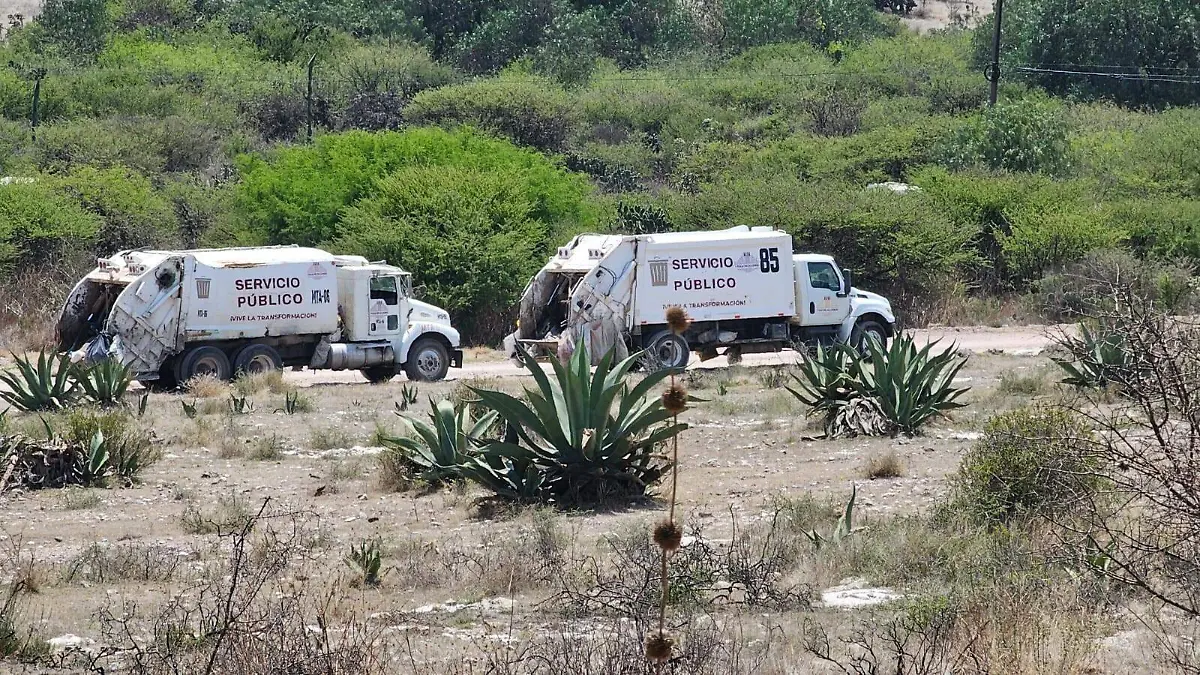 IMG-20260323-WA0016~2