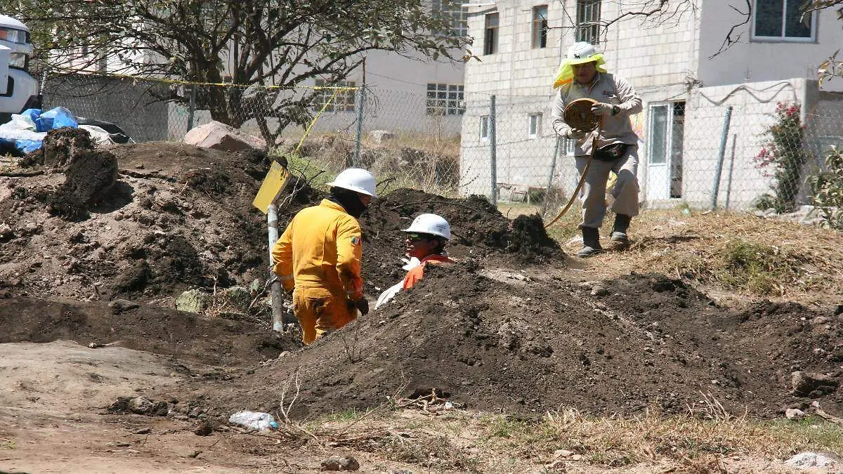 befunky_2026-2-4_13-38-26