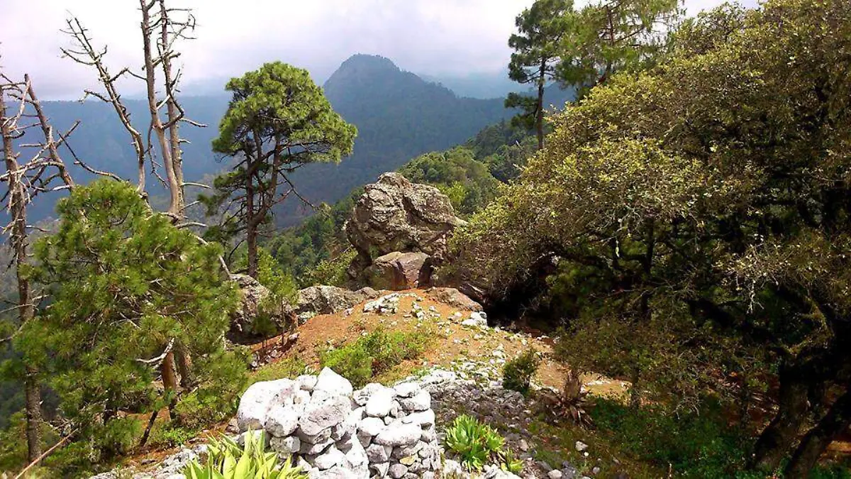 34538777_1605393689559092_1364766351255666688_n