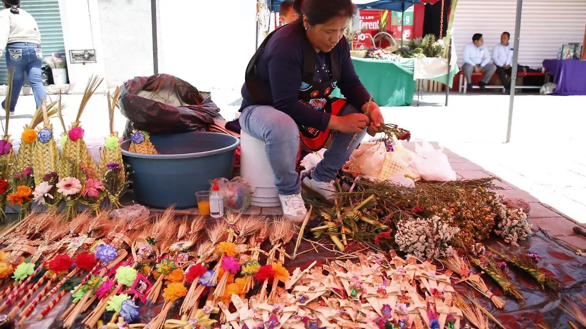 WhatsApp Image 2026-03-29 at 12.36.34 PM