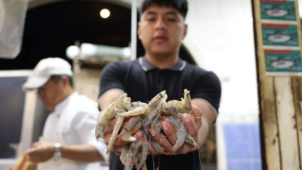 Diseño sin título-16