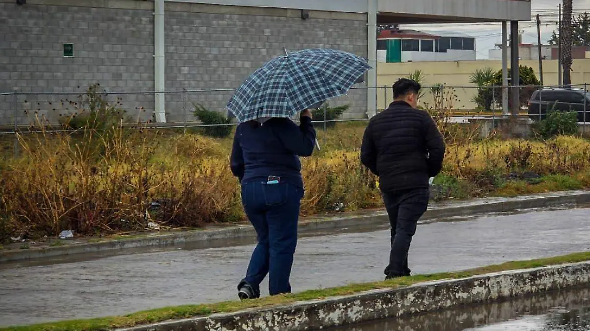 WhatsApp Image 2026-03-30 at 2.07.14 PM (1)