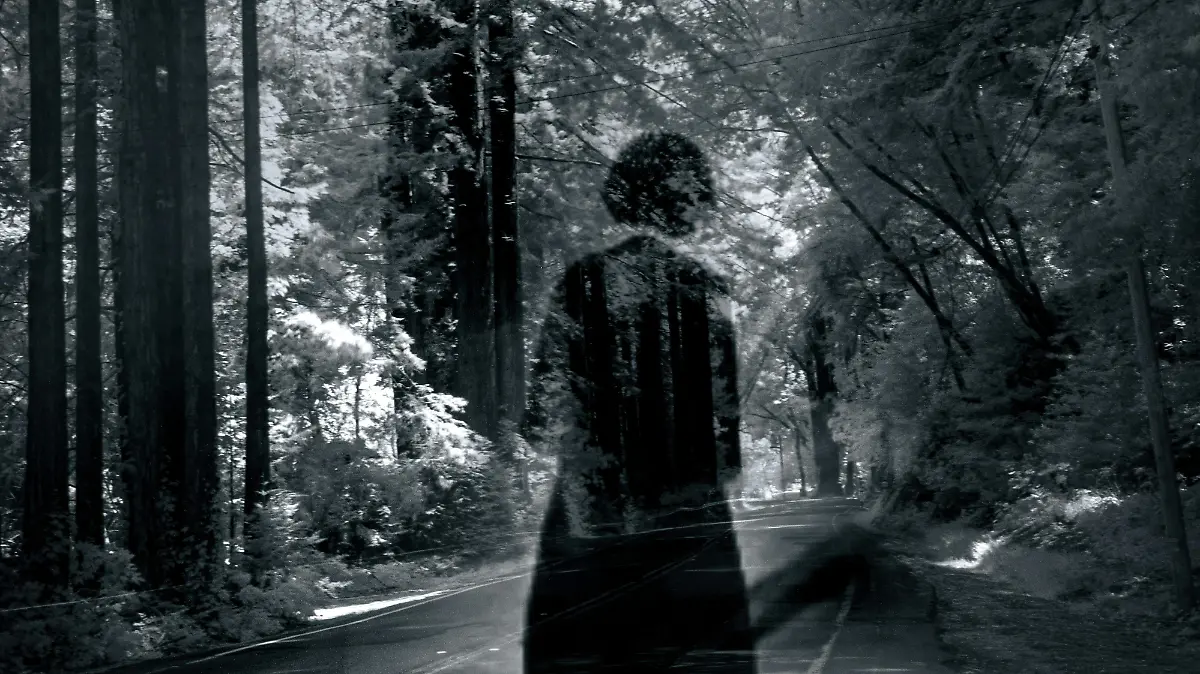 pexels-davidmcelwee-18372128