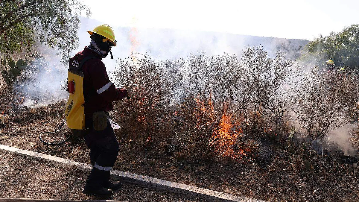 Diseño sin título-3