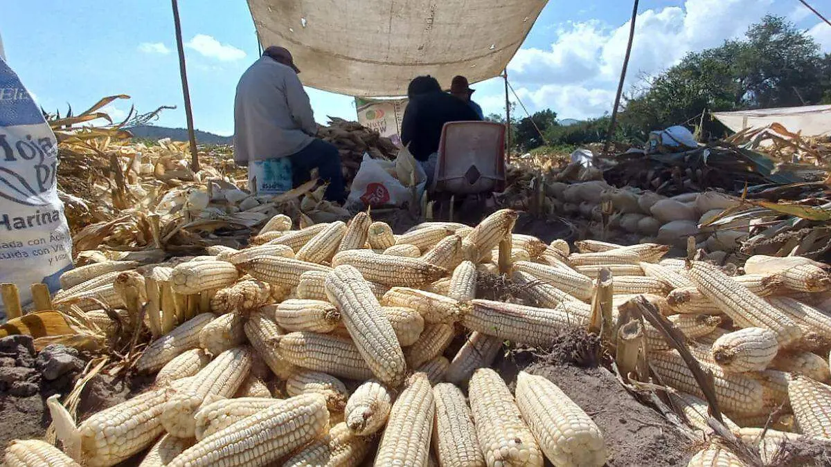 Diseño sin título-2