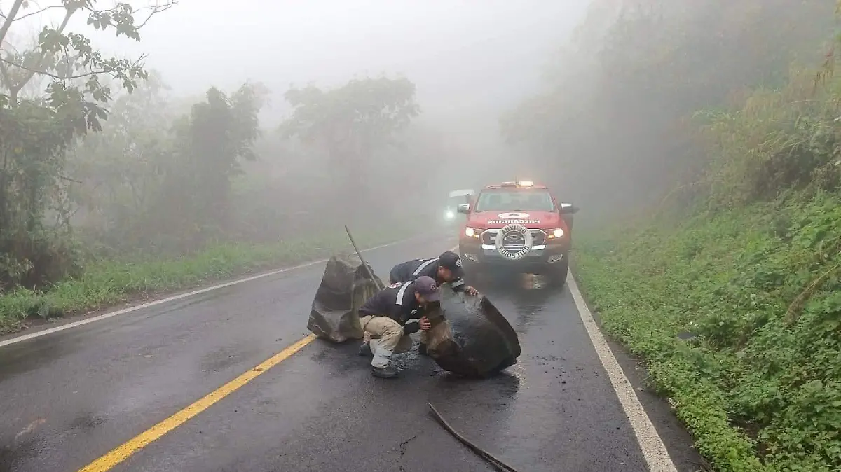 WhatsApp Image 2026-04-06 at 3.38.45 PM