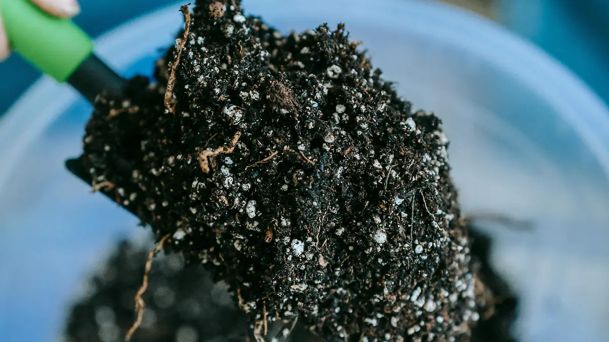 pexels-teona-swift-6913399