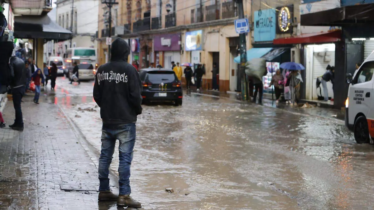 WhatsApp Image 2026-04-11 at 12.51.24 PM