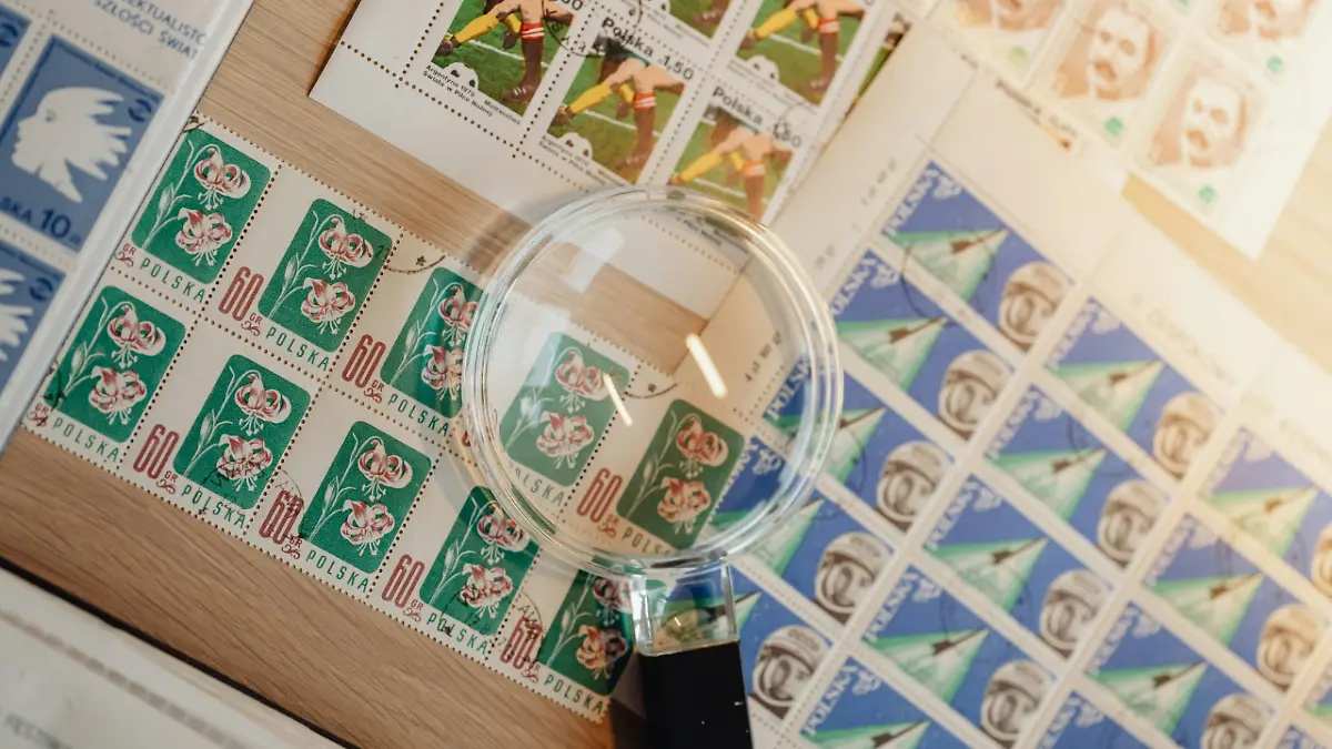 pexels-karola-g-6661082