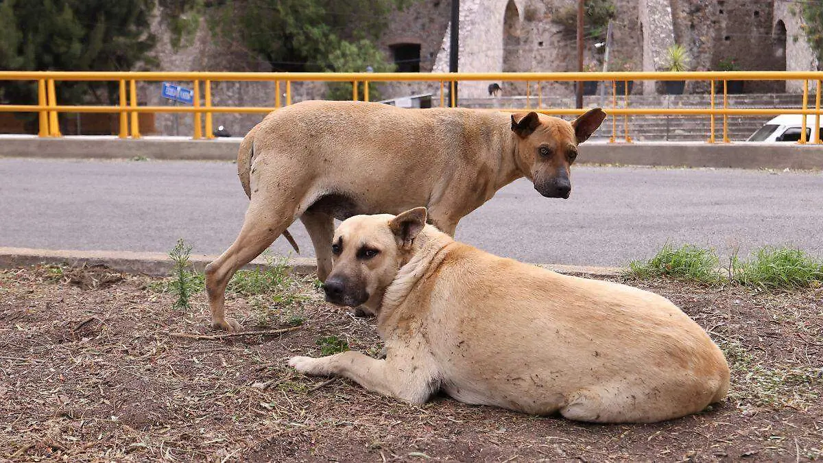 Diseño sin título-3