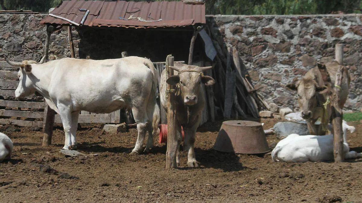 Diseño sin título-5