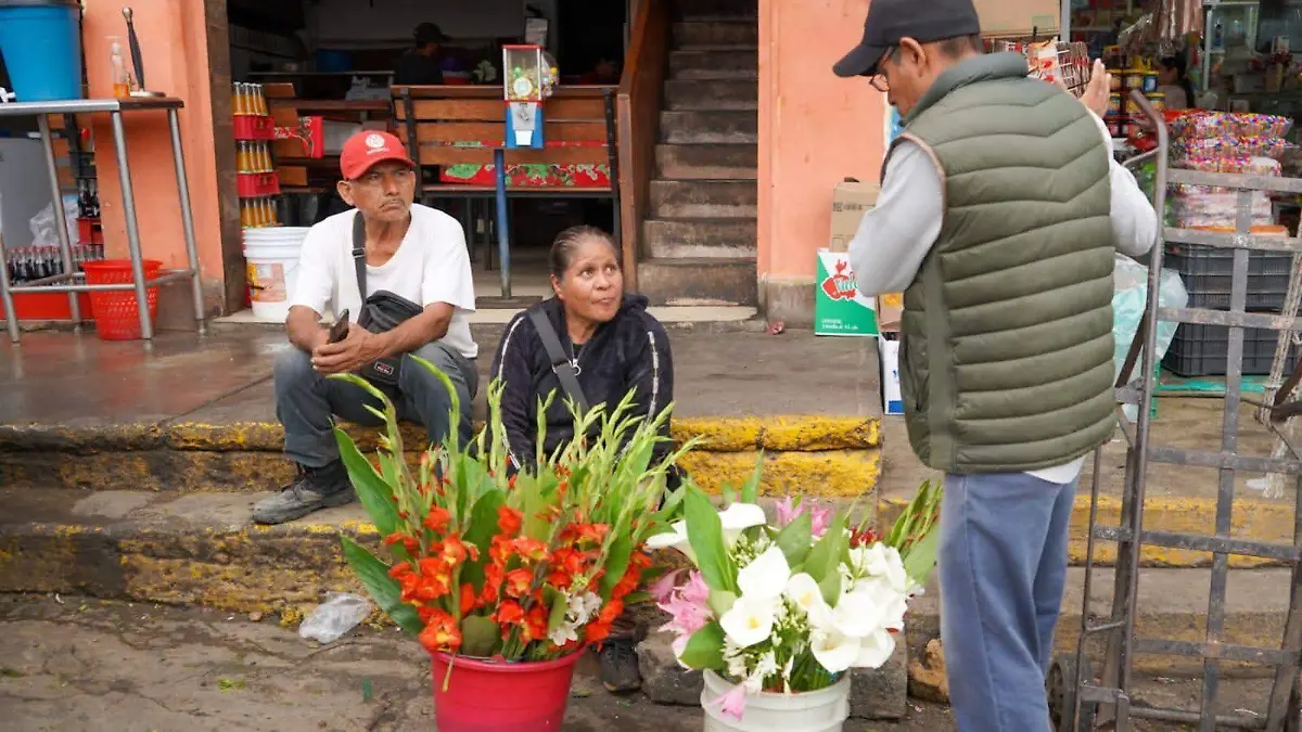 COMERCIO AMBULANTE 1