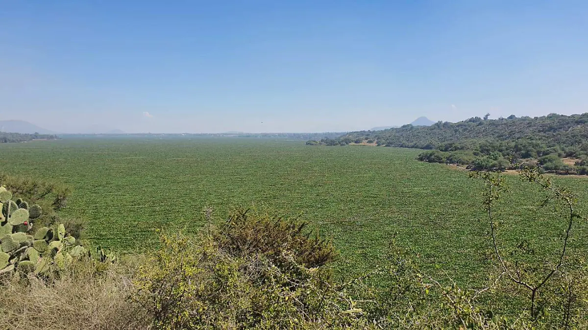PRESA ENDHO ROSALIA MALDONADO