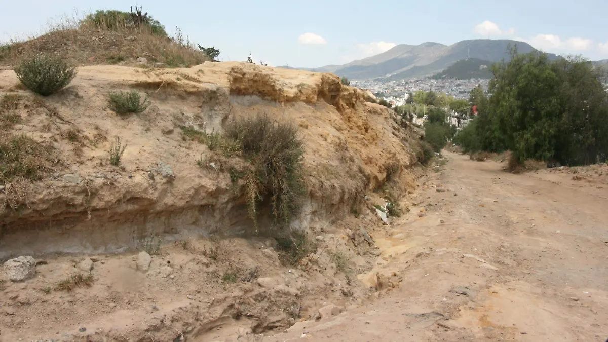 JALES F E D L VEGA (6)