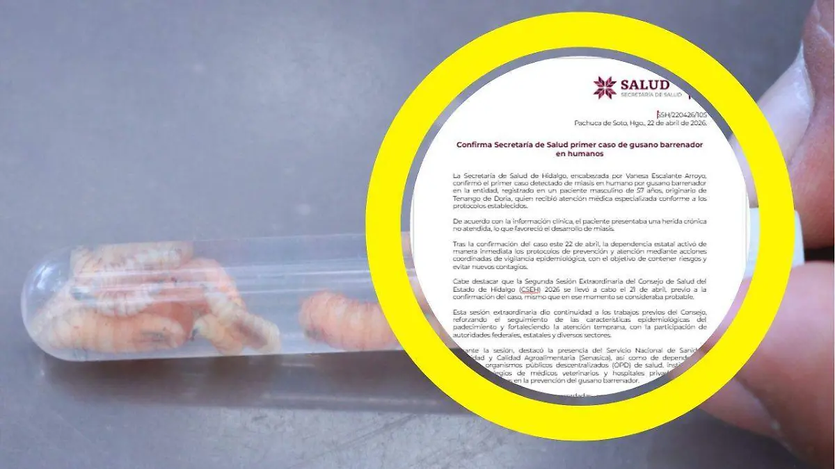 GUSANO BARRENADOR CASO HUMANOS HIDALGO TENANGO