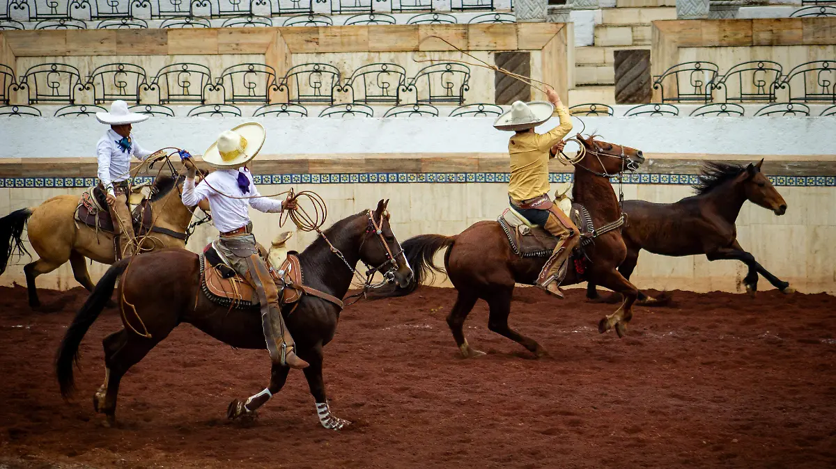 FOTO EDUARDO ISLAS 6