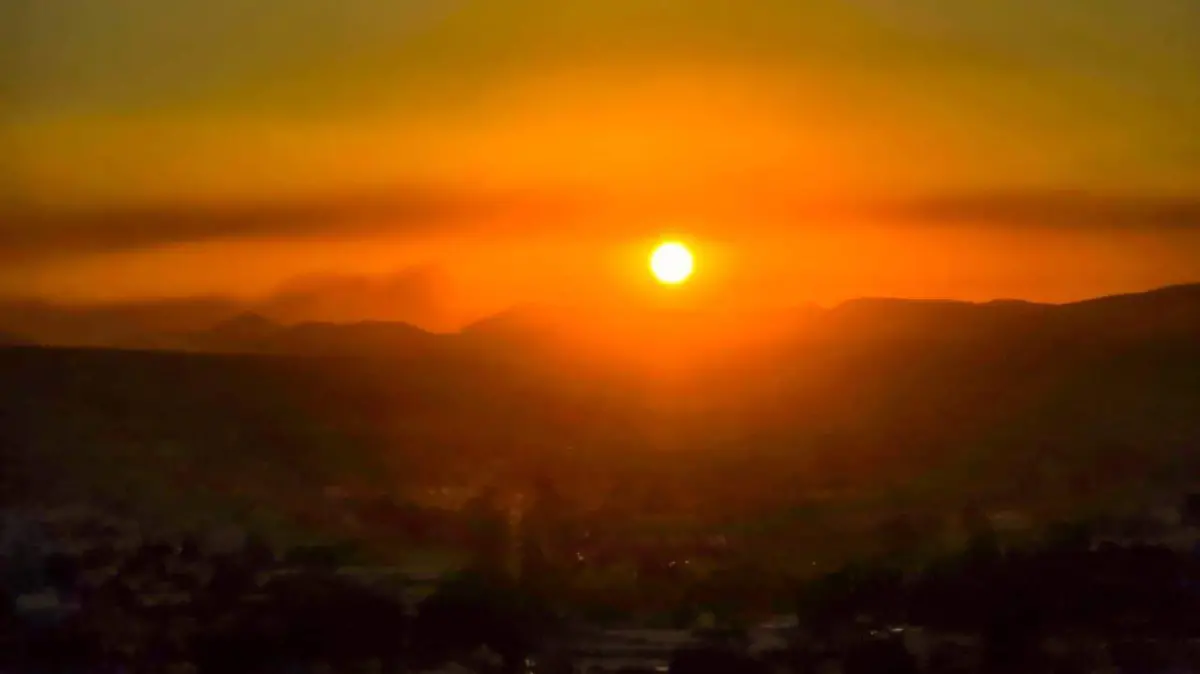 WhatsApp Image 2026-04-24 at 10.05.39 AM