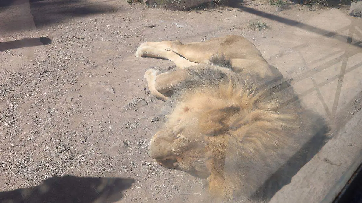 Diseño sin título-15