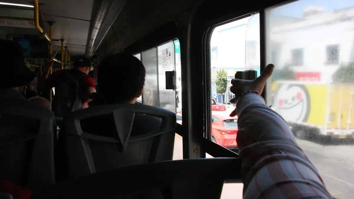 TRANSPORTE F E D L VEGA (6)