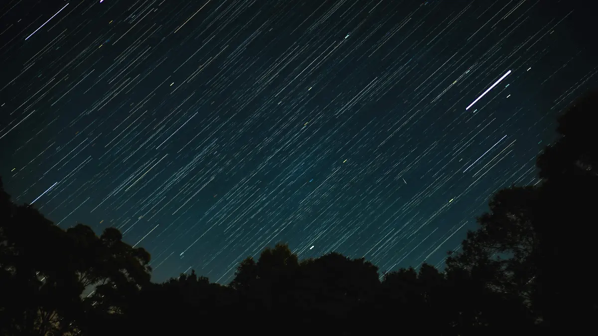 pexels-gorgeouspixels-15978699