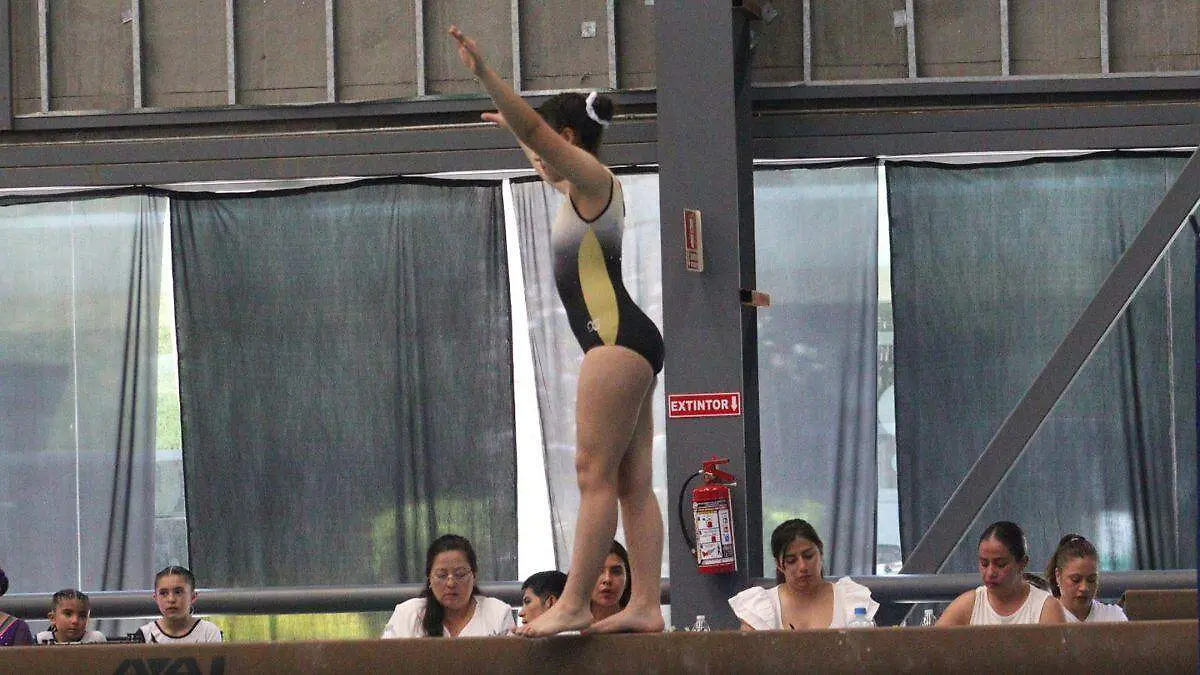 GIMNASIA