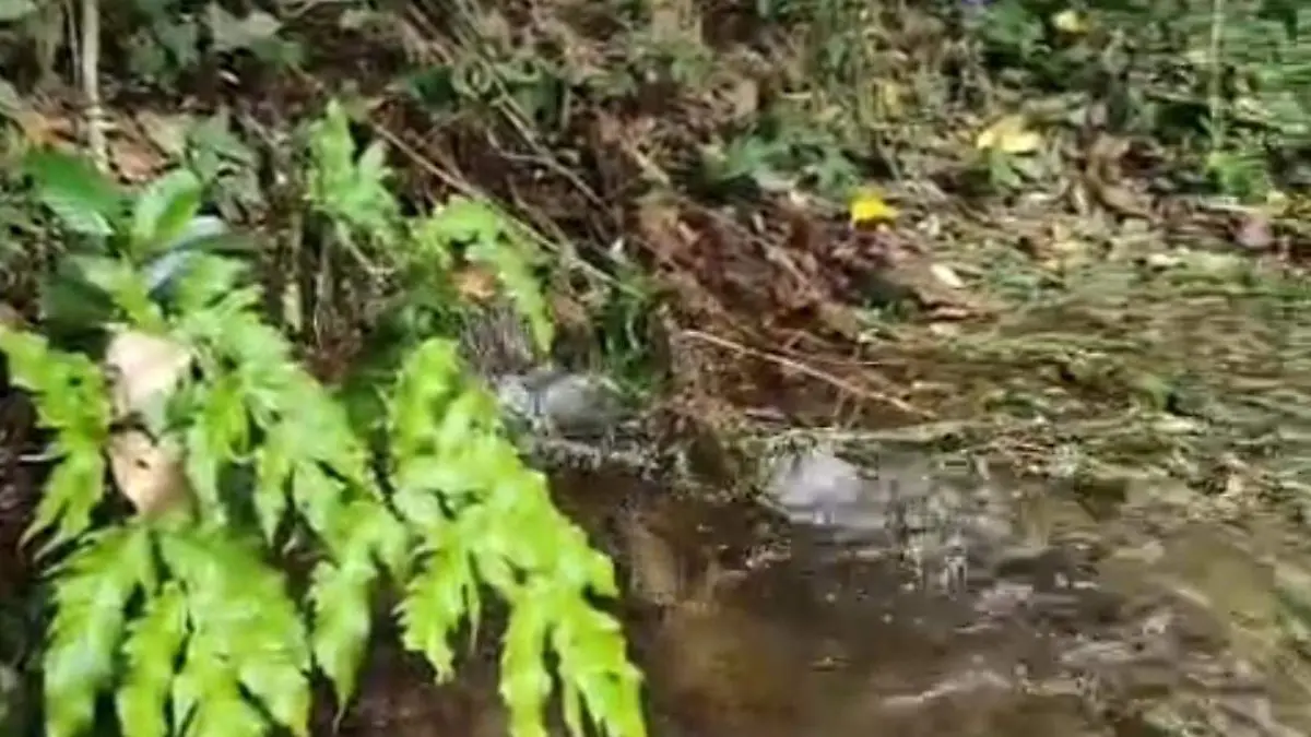 FUGA SIN AGUA 1