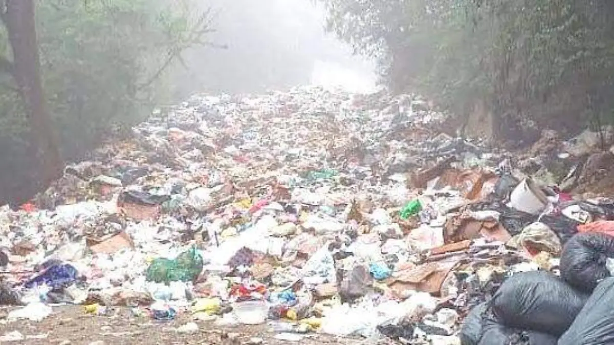 TIRADERO BASURA 2