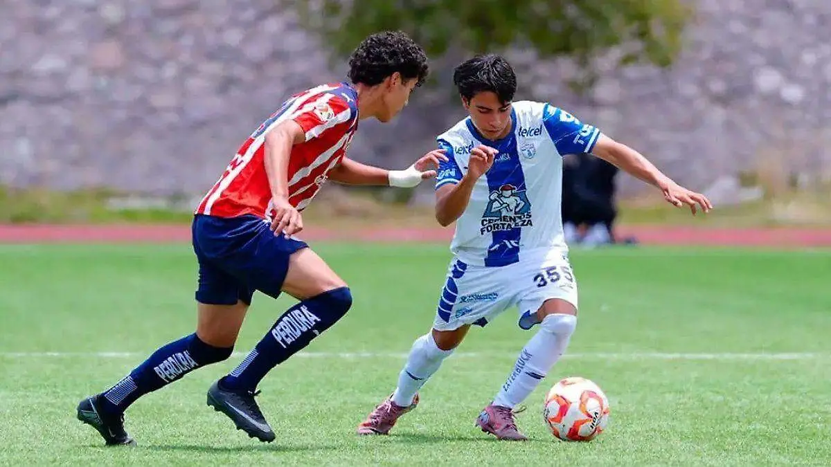 TUZOS FUERZAS BÁSICAS CUARTOS DE FINAL