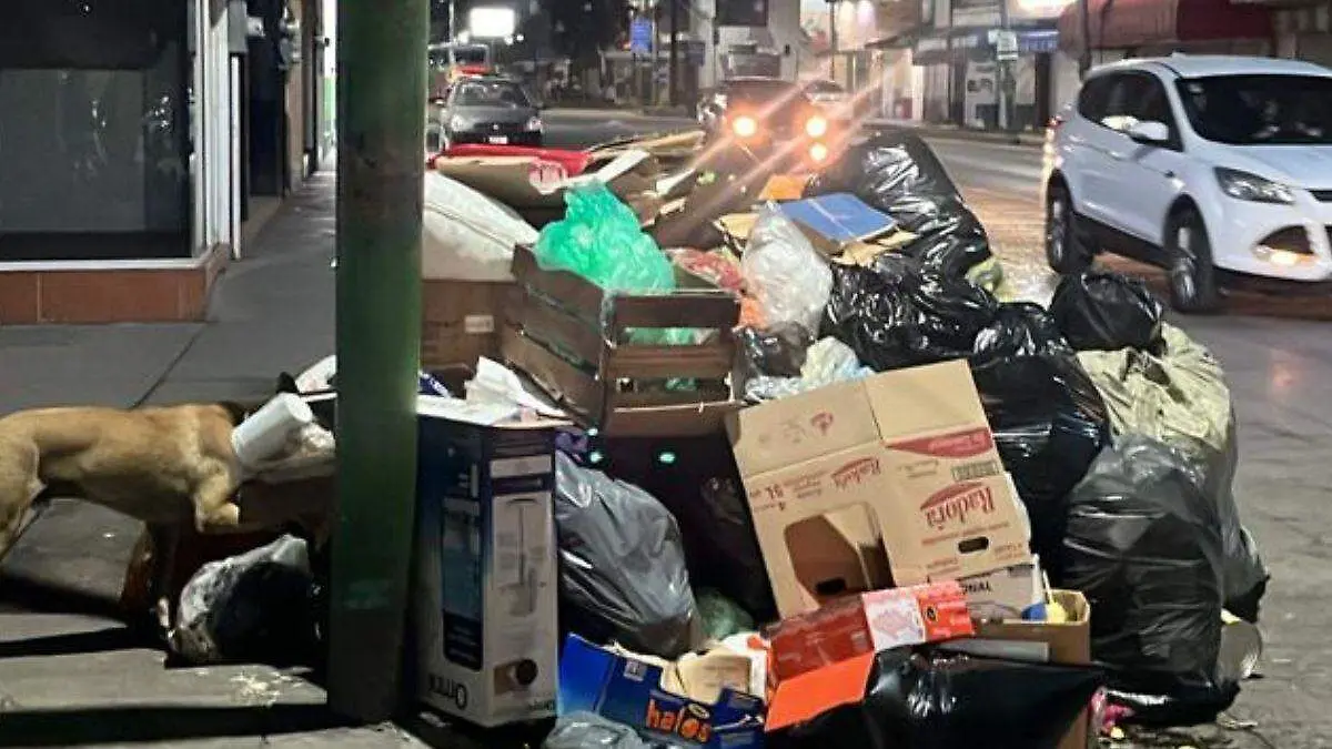 WEB BASURA CRISIS BUENAA