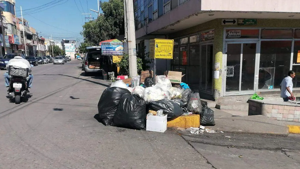 WEB BASURA BUENAA