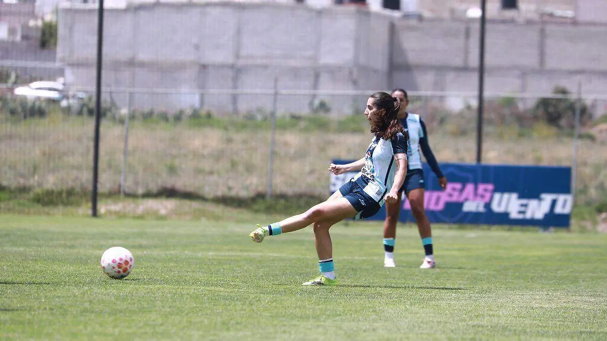 TUZAS (2)