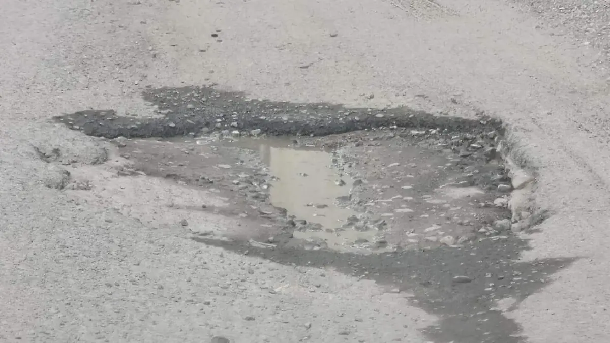 BACHES TRANSPORTISTAS 11