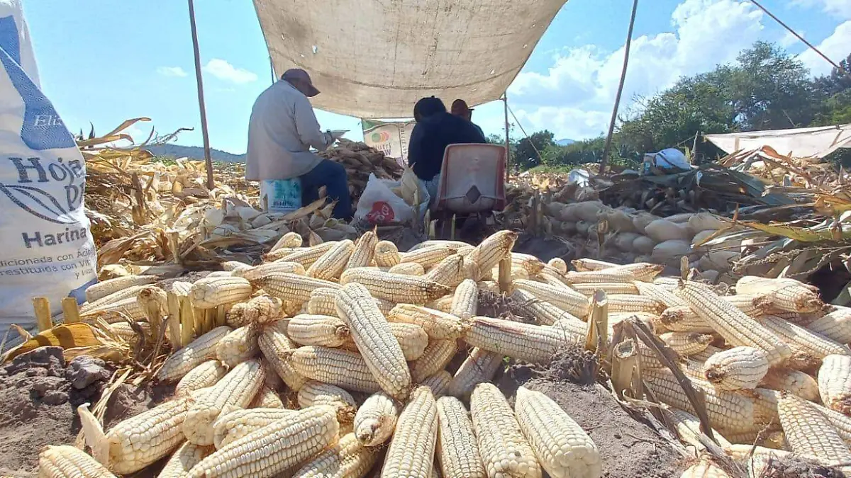 PRECIOS DE GARANTÍA