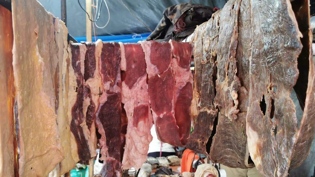 CARNE SECA 1