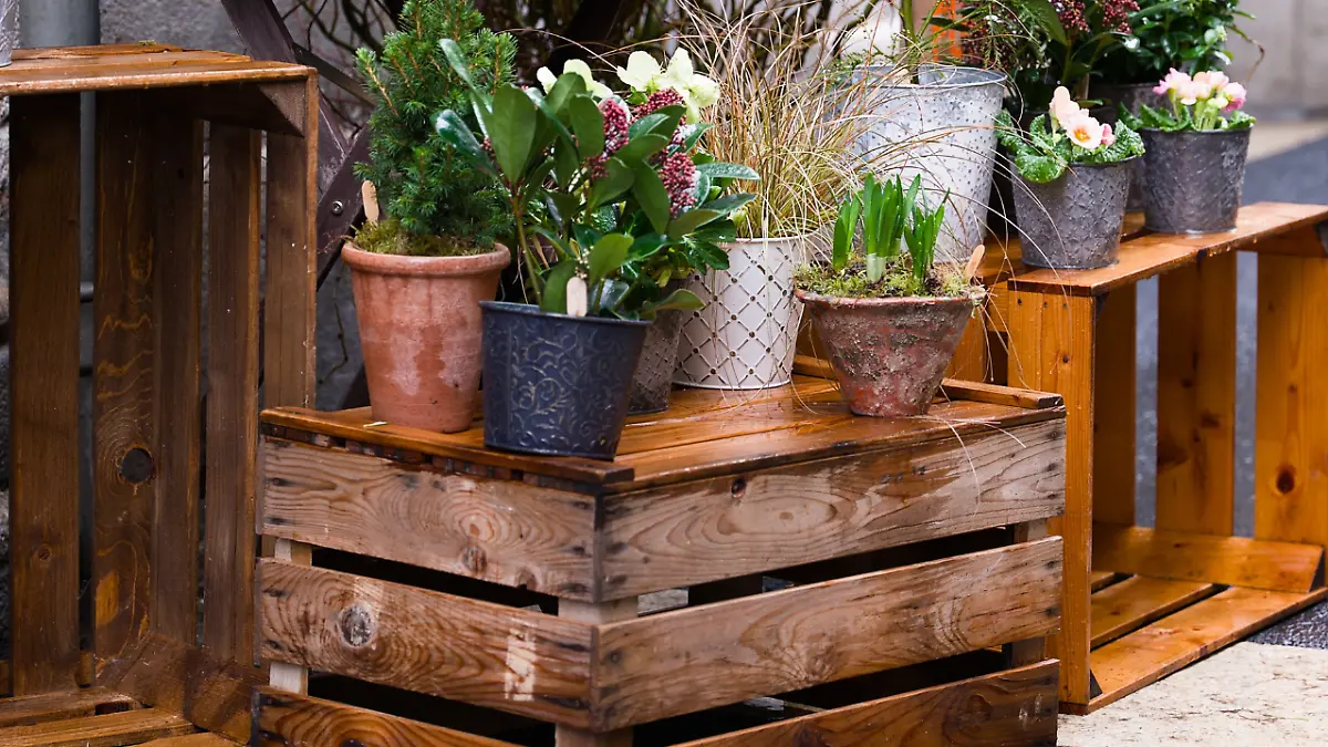 MUEBLES