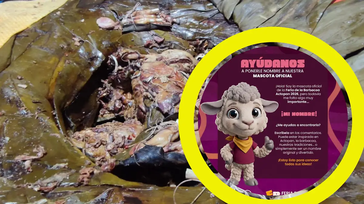 feria de la barbacoa actopan mascota nombre