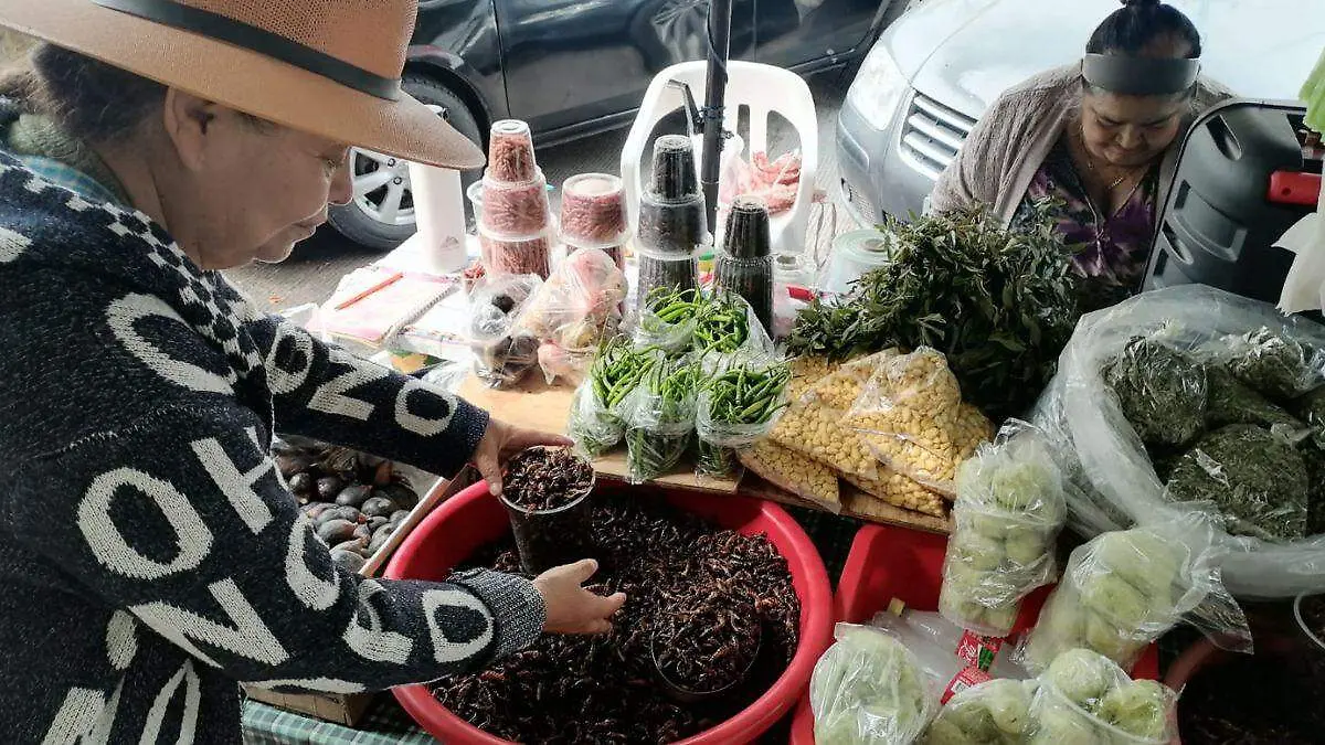 WEB ALIMENTO EXOTICO BUENAA