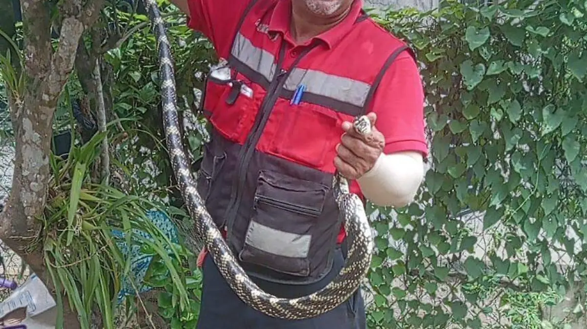 CAPTURAN CULEBRA 1