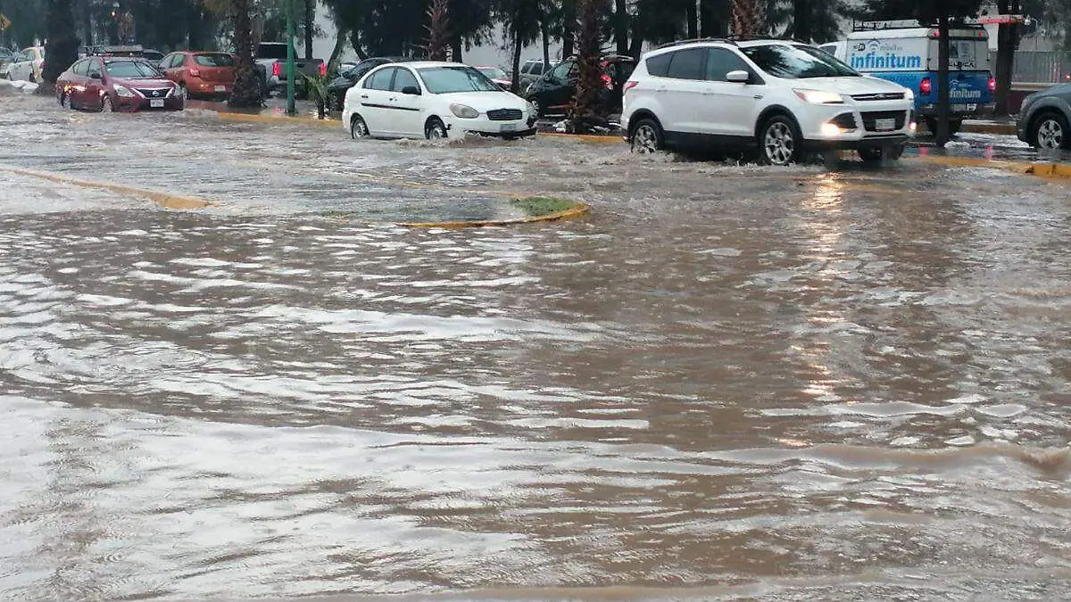 WEB GRANIZADA TULA BUENAA